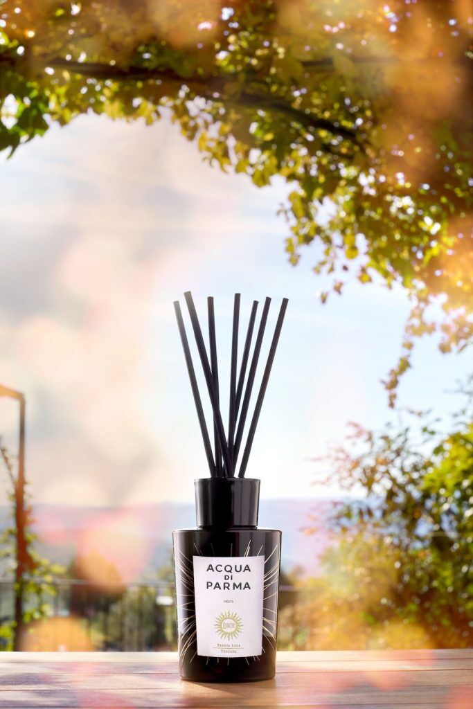 Acqua Di Parma Collaborates with Tenuta Luce - The Luxury Editor